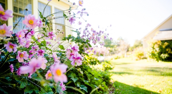 Will the Housing Market Bloom This Spring? | Simplifying The Market